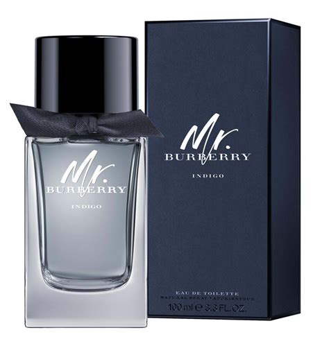 fragrantica mr burberry indigo|mr burberry cologne notes.